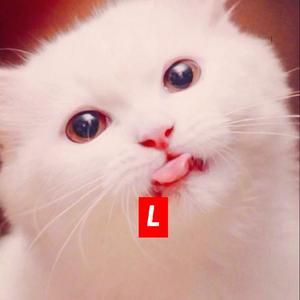 【BEAT】”卡哇伊“kawaii Type Beat