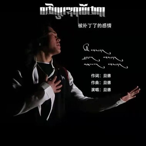 被补丁了的感情，旦德， （1）