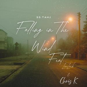 Falling In The Wind