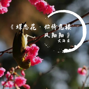 蝶恋花.伫倚危楼风细细 伴奏