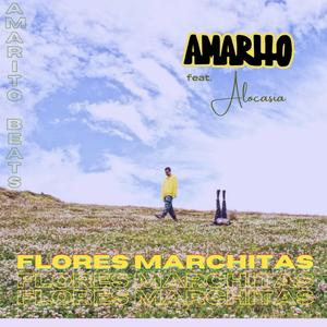 Flores marchitas (feat. Alocasia)