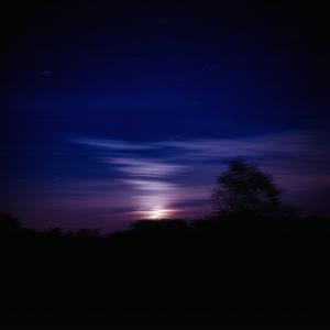 Die Young (feat. lil XipZ, Crizzy White, teddyboi & Danny Adventure)