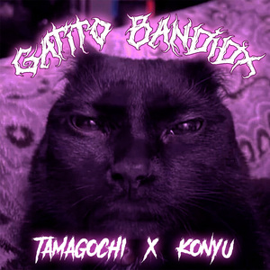 GATITX BANDIDX
