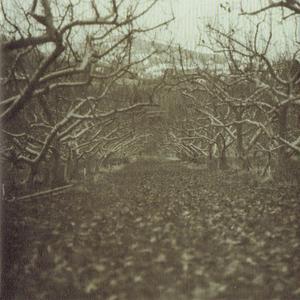 What Are You Doing Here Cowboy?