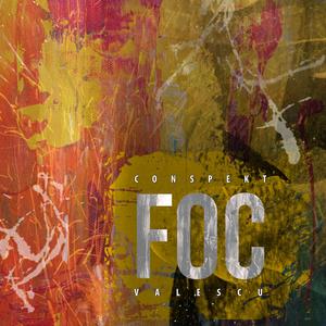 Foc (feat. LorenzoOne)