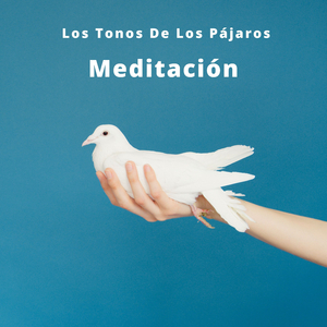 Paraíso Con Hojas