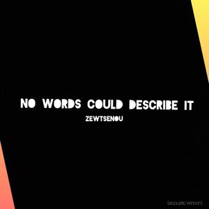 No Words Could Describe It (Acoustic)