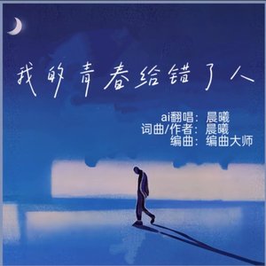 我的青春给错了人