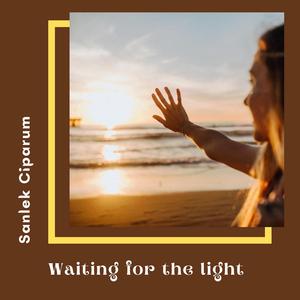 Fell Asleep Under a Tree