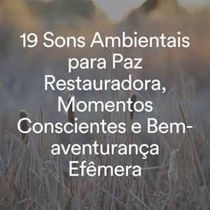 Sérénité Galactique