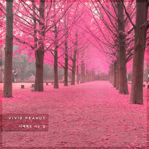 너에게로 가는 길