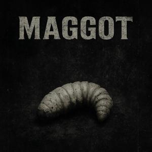 Maggot
