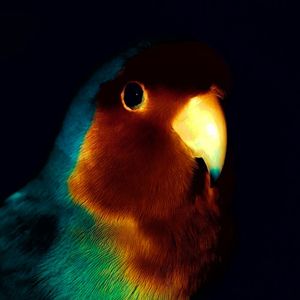 【FREE】Welcome to virtual space Beat