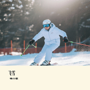 飞雪