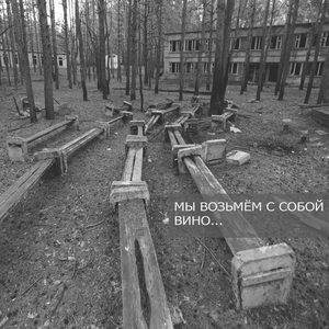 Мы возьмем с собой вино