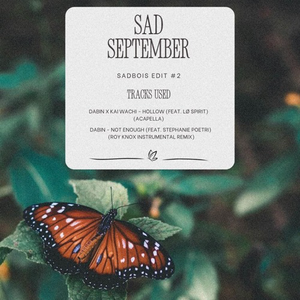 Hollow x Not Enough (ROY KNOX Remix) (SadBois Edit)