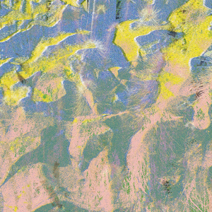 Dialecto de Arbol no.6