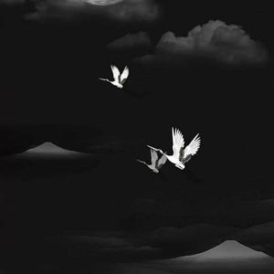 说句实话magnolia（翻自 Ciennk）