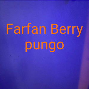 Pungo