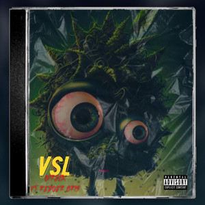 Vsl