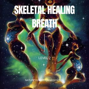 Level 2 Instructional Guide