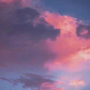 是我不小心   陆杰awr