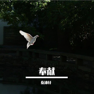 乡间田野的宁静时光