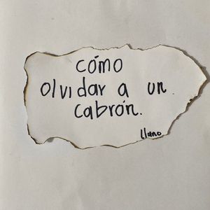 Cómo Olvidar a un Cabrón