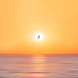 Moonlit Insight in Nature's Ocean Flow