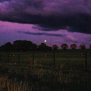 脑海也是海，也能泛起波澜