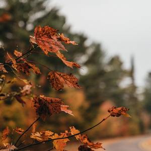 【嫣夕】展翅高飞-高三7班班歌（重返十七岁翻唱）