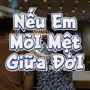 Nếu Em Mỏi Mệt Giữa Đời