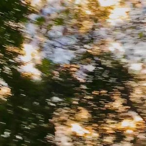 谁（Cover 廖俊涛）