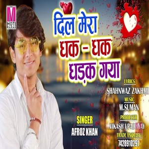 DIL MERA DHAK DHAK DHARAK GAYA (HINDI SONG)