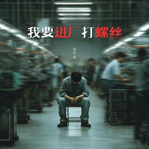 我要进厂打螺丝