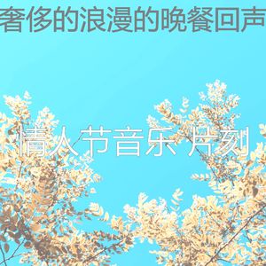 诗意的约会之夜节奏