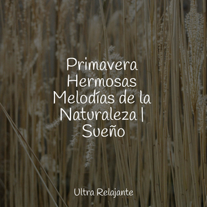 Amanecer en La Arenosa Playa