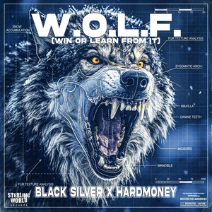 W.O.L.F. (Win Or Learn From it)