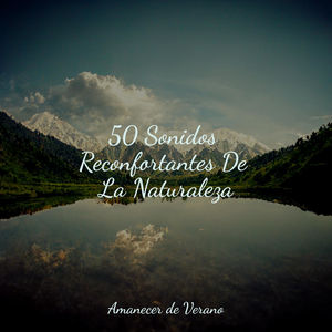 Sonrisas místicas en ensueño