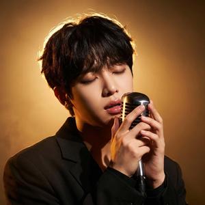 I Lost Myself Loving You