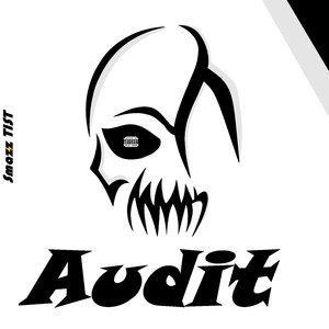 Audit