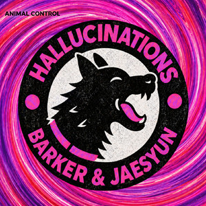 Hallucinations (Radio Mix)