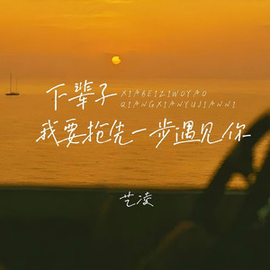 下辈子我要抢先一步遇见你