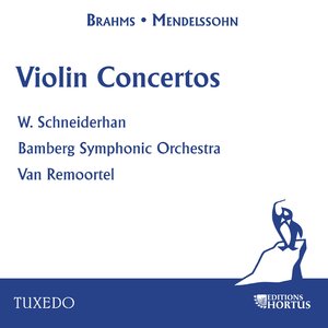 Violin Concerto in D Major, Op. 77: II. Adagio