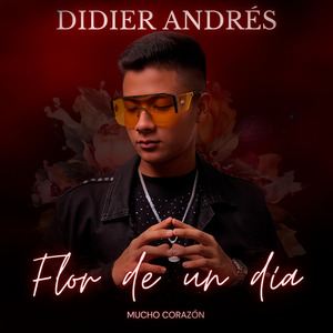 Flor De Un Día