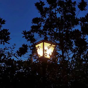 幻 (prod 白昼星BZX)