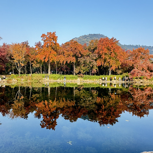 留不住你也放不下你