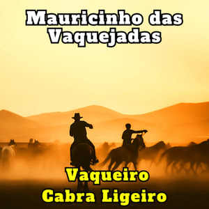 Um Cavalo Abandonado (Cover)