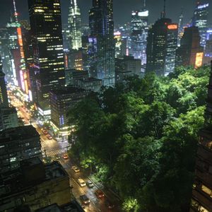 城市候鸟