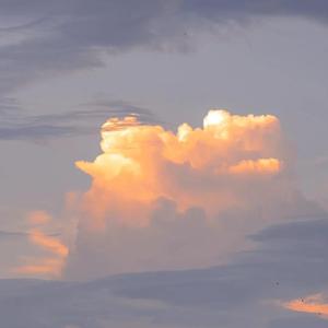 小宇（翻自 蓝心羽）